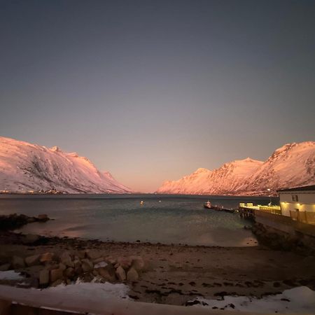 Bed and Breakfast House Of Ellie Ersfjordbotn Екстер'єр фото
